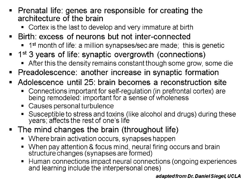 Prenatal life: genes are responsible for creating the architecture of the brain Cortex is